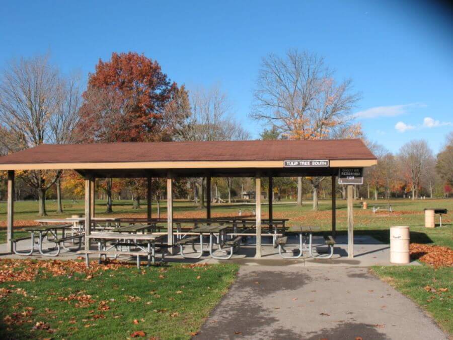 Tulip Tree Picnic Shelter